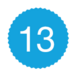 Icon 13